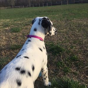 Meet your Posher, Nathan